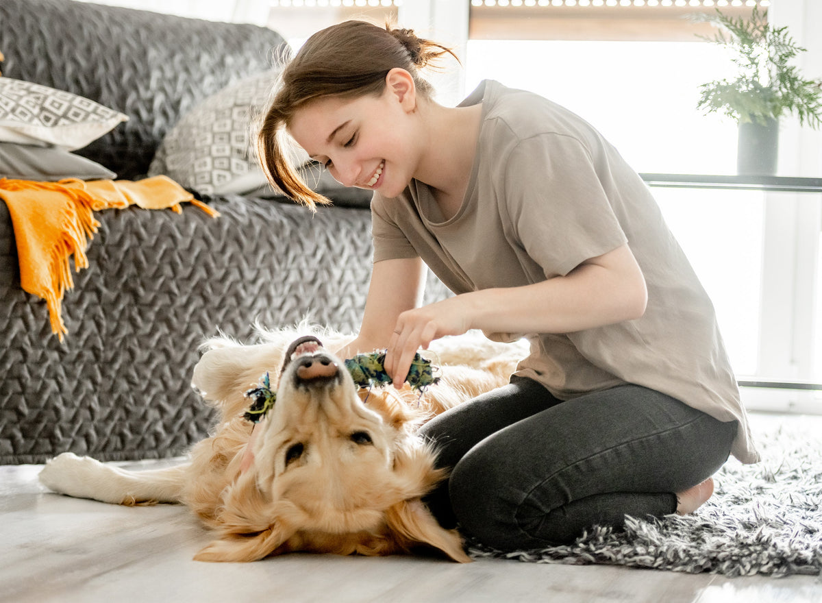 Pets