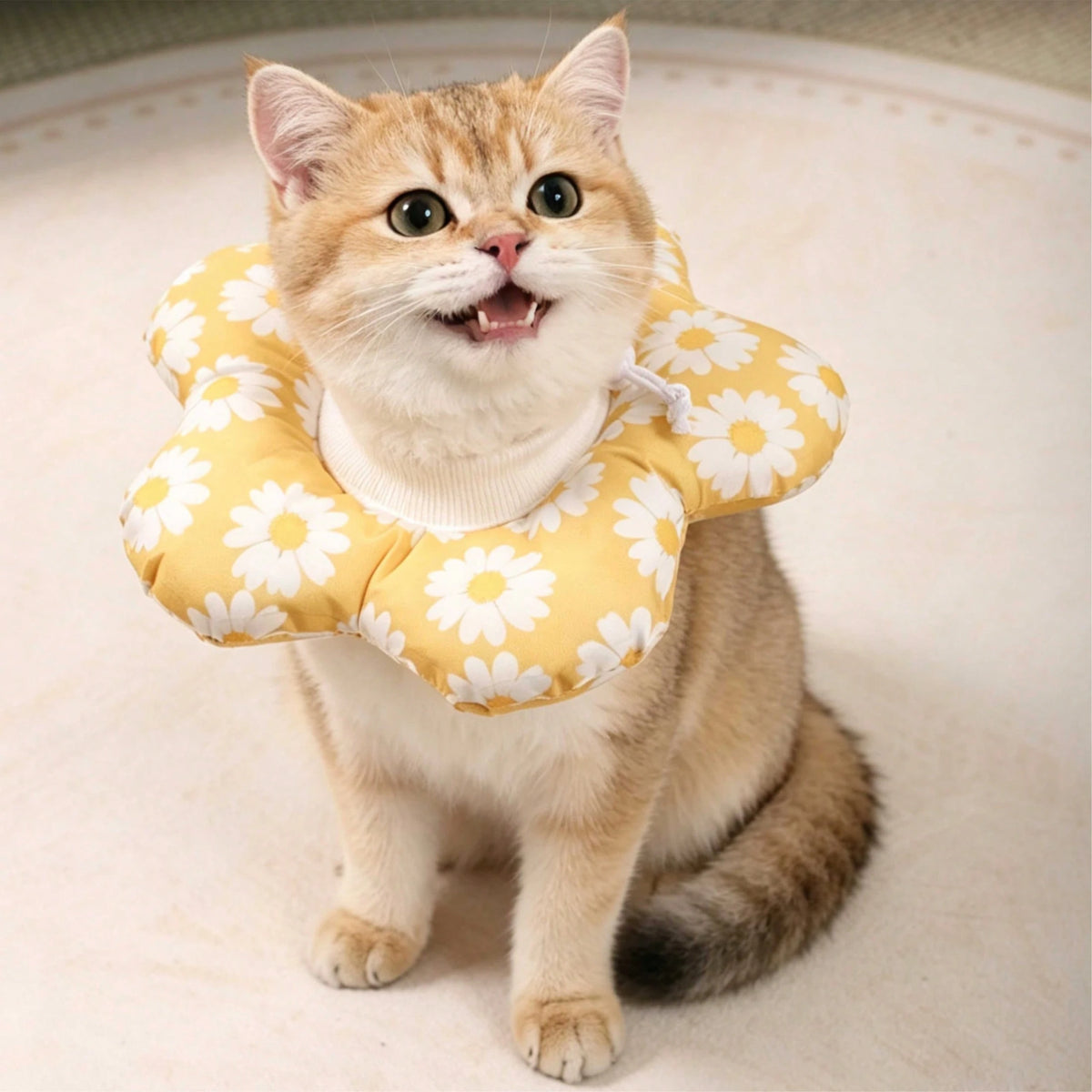 19